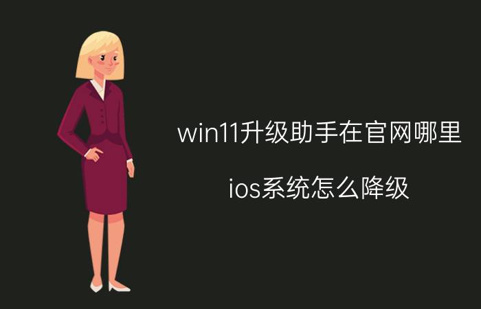 win11升级助手在官网哪里 ios系统怎么降级？